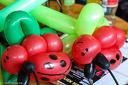 IMG 6837260315